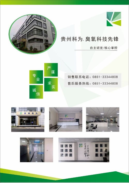 山东贵州臭氧发生器 10g复古臭氧机在办公室与学校的消毒除味应用